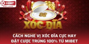 Cách Nghe Vị Xóc Đĩa